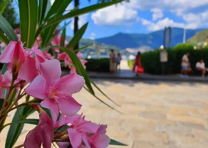 公寓 Divina Luxury In The Center Of Como, Near 科莫